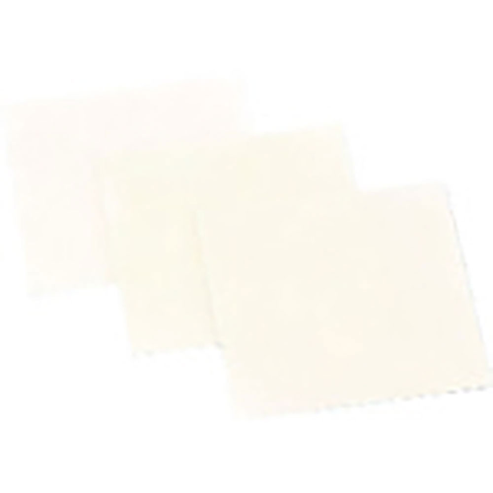 ナカニシ　ダイヤフィルムシート　１００×１００×０．２　＃８００　５６８０４＿