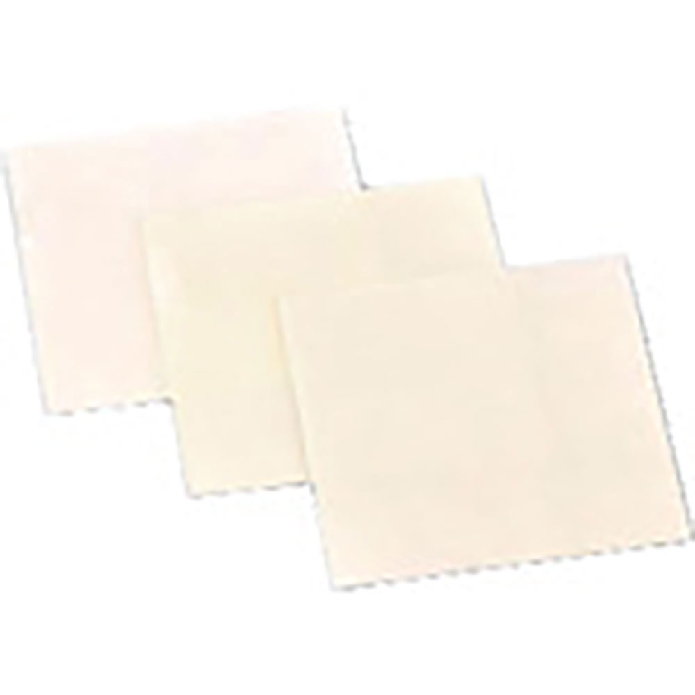 ナカニシ　ダイヤフィルムシート　１００×１００×０．２　＃３０００　５６８０７＿