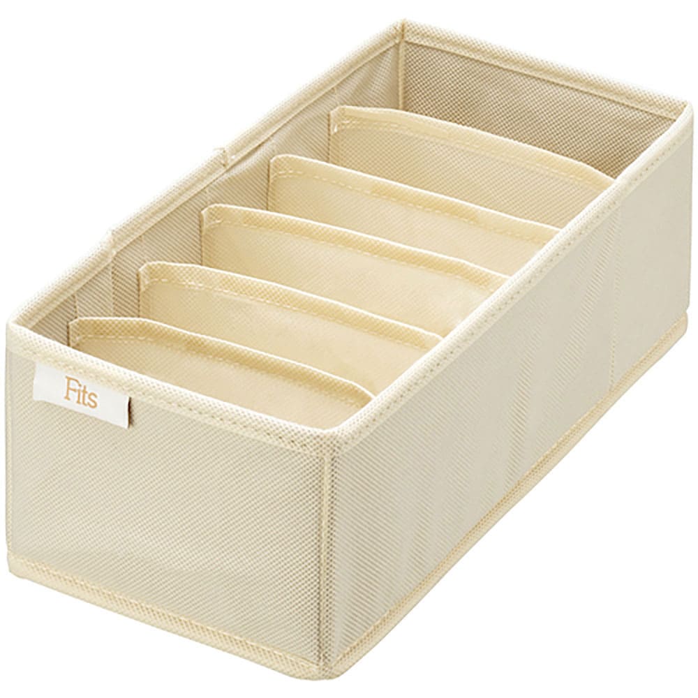 ＴＥＮＭＡ　せいとんボックス　Ｍ（仕切り６マス）　８１１０００９６１＿