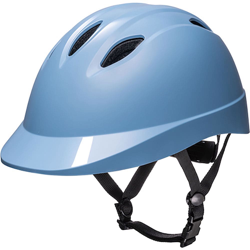 ＤＩＣ　Ｃｈａｌｉｎｏ　保険付き　ブルー　Ｌ　ＣＨＡＬＩＮＯ　ＢＬ－Ｌ＿