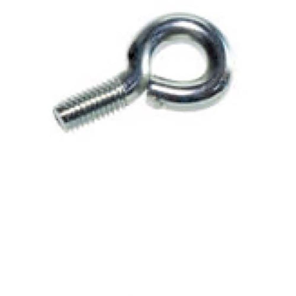 ＩＷＡＴＡ　アイボルト（１００個入）　ＭＳ０６＿