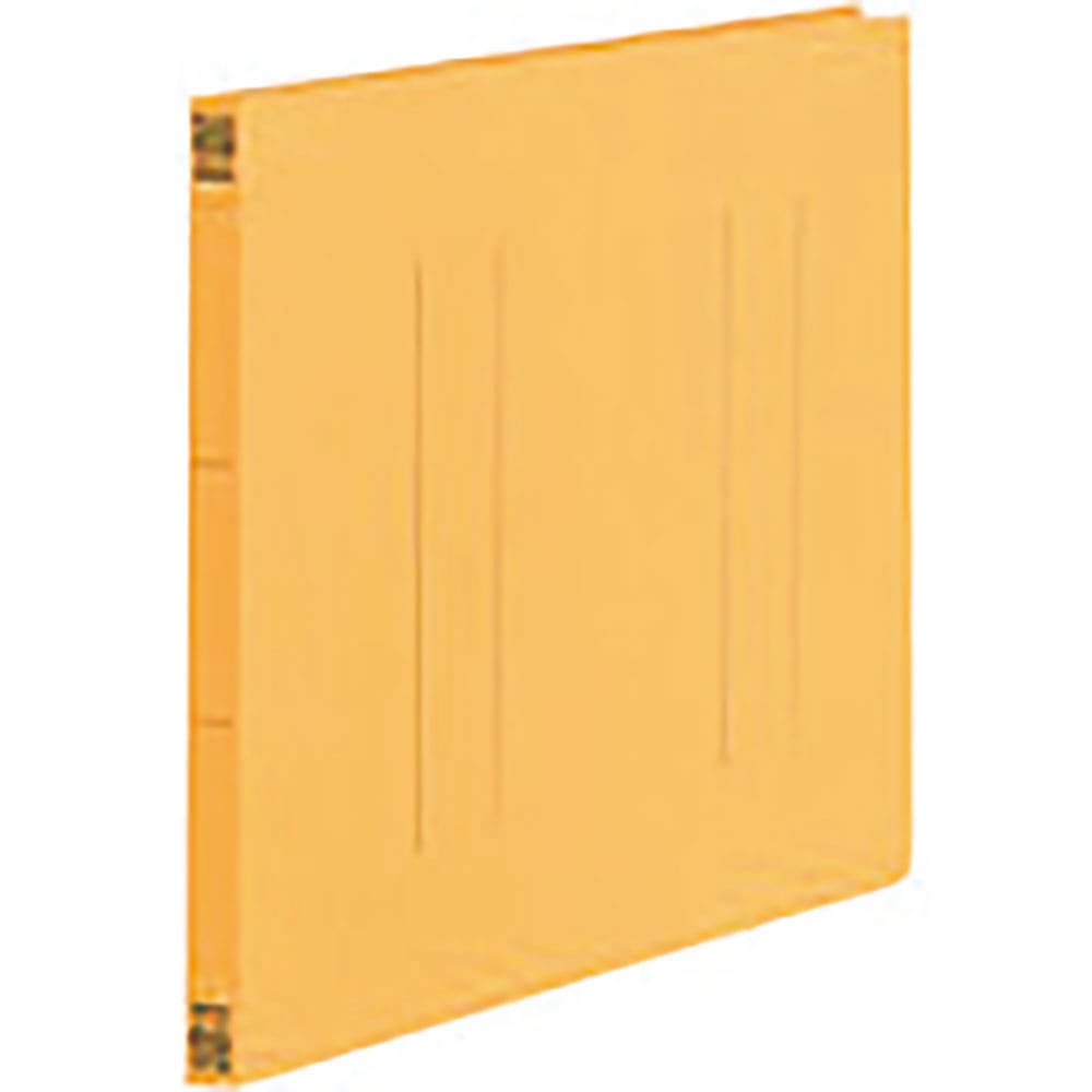 ＰＬＵＳ　８８７７９１）フラットファイル縦罫Ａ３Ｅ　Ｎｏ．００２ＮＴ　ＹＬ１０冊　ＮＯ．００２ＮＴ＿