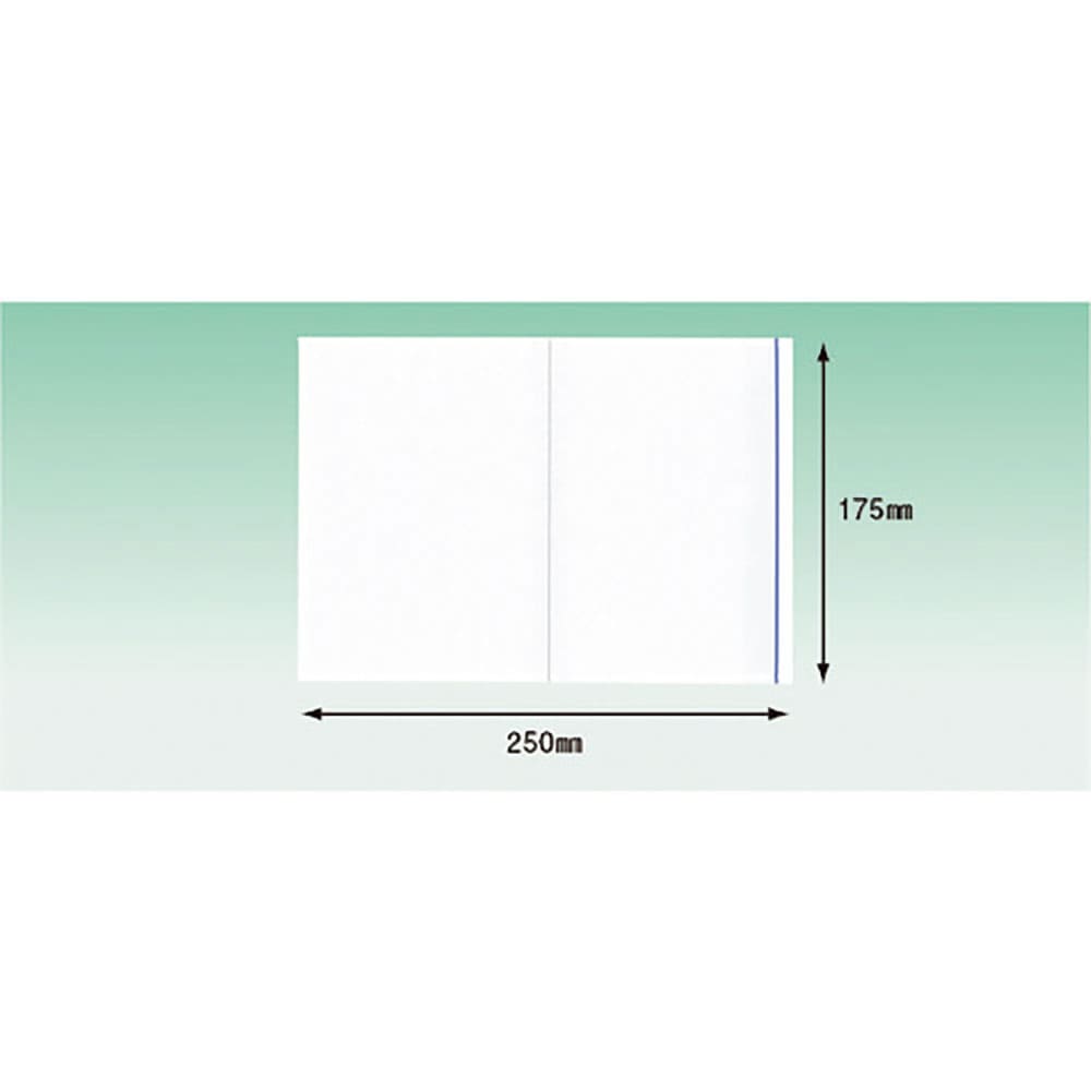 パピルス　デリバリーパック　ポケットタイプ（Ａ５サイズ用）１７５×２５０　１００枚入　全面糊　ＰＡ＿