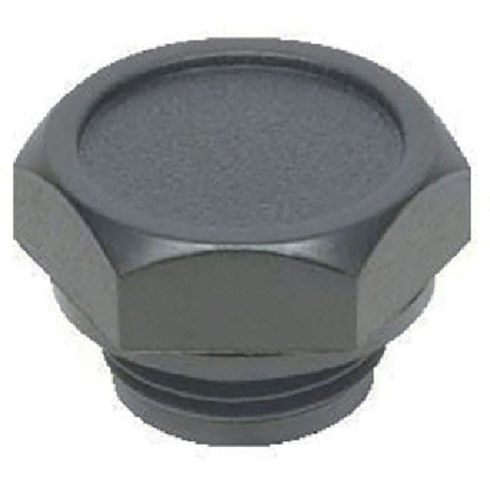 ＥＬＥＳＡ　オイルプラグ　ＰＯ－１＿