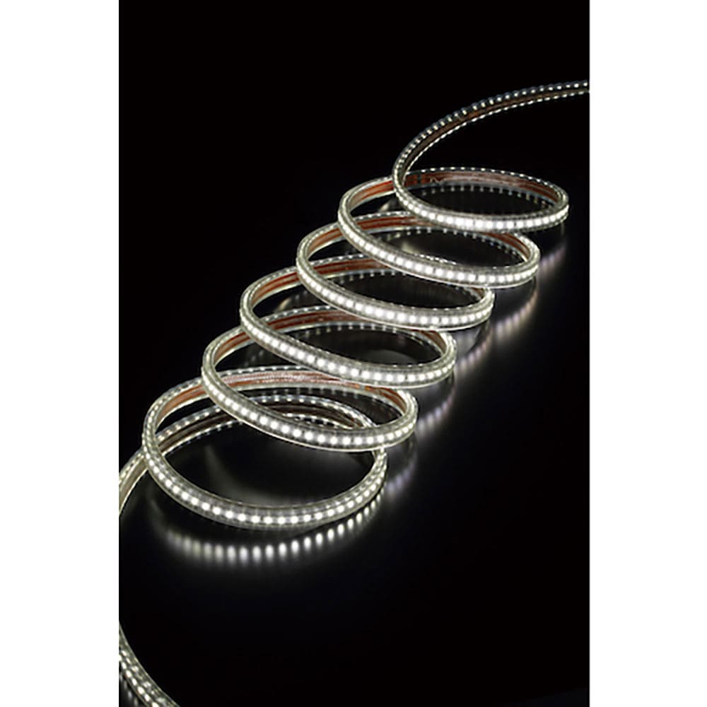 ハタヤ　ＬＥＤテープライトＲ片面　ＲＬＴＰ１０＿