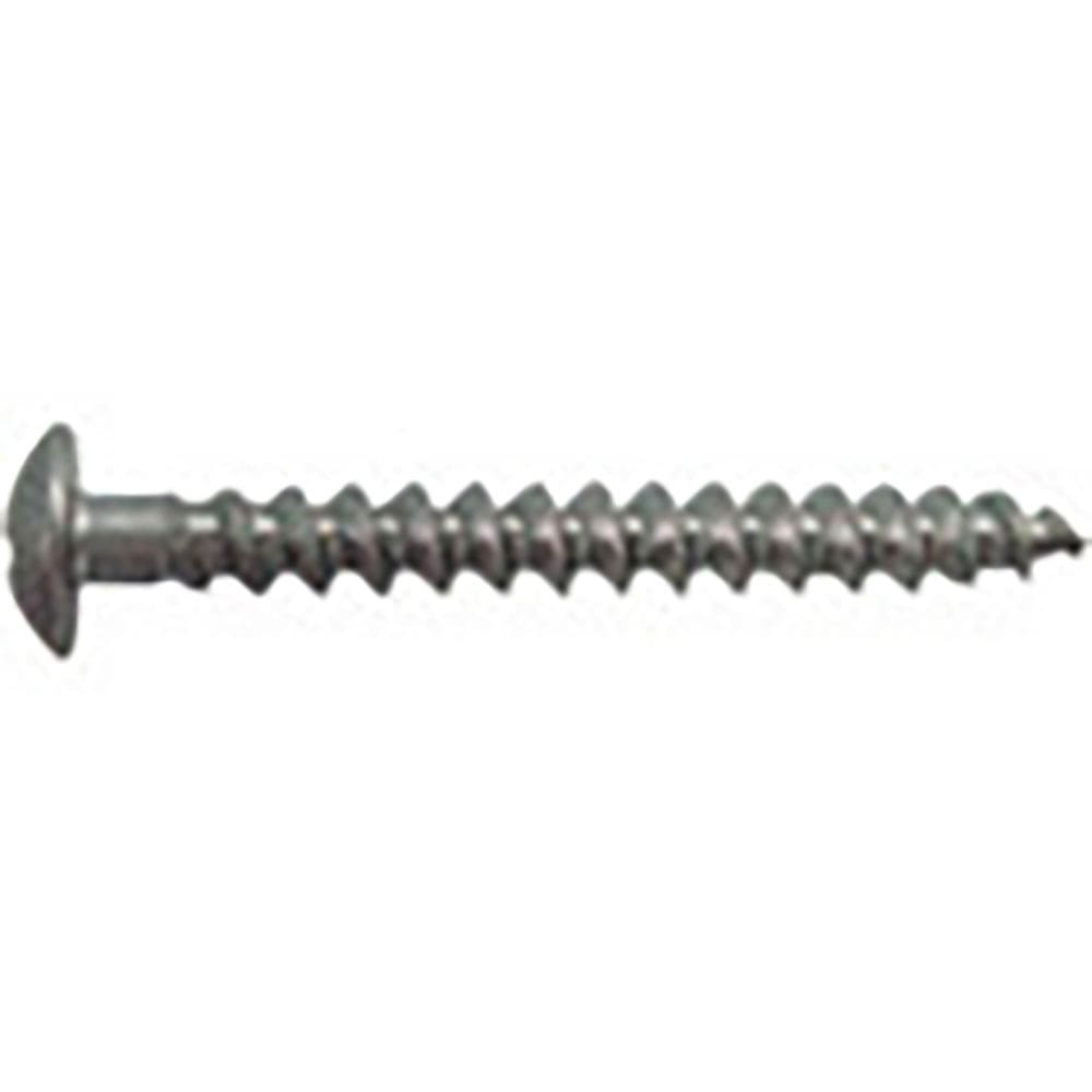 ＪＰＦ　ステンレスアリンコ　トラス　Ｍ４×３５（５００本入り）　ＳＵＳ　ＡＬＩＮＣ　ＴＲＵＳＳ　４＿