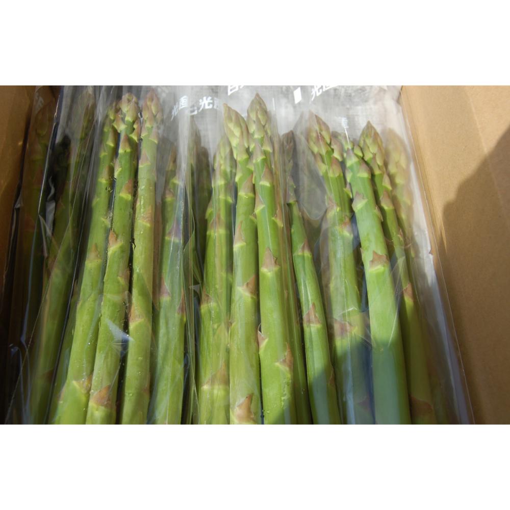 栃木県日光市産　アスパラガス　約１ｋｇ(夏出荷)【注文期限：８月20日】