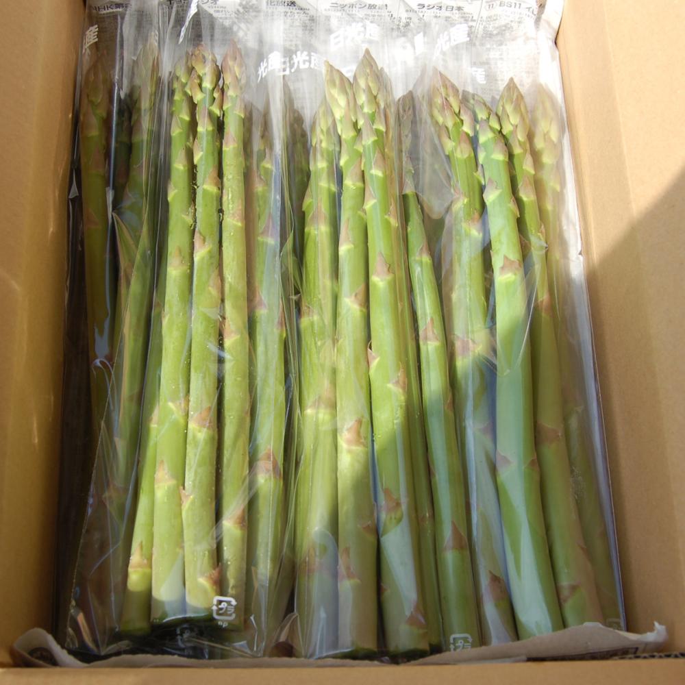 栃木県日光市産　アスパラガス　約１．５ｋｇ(夏出荷)【注文期限：８月20日】