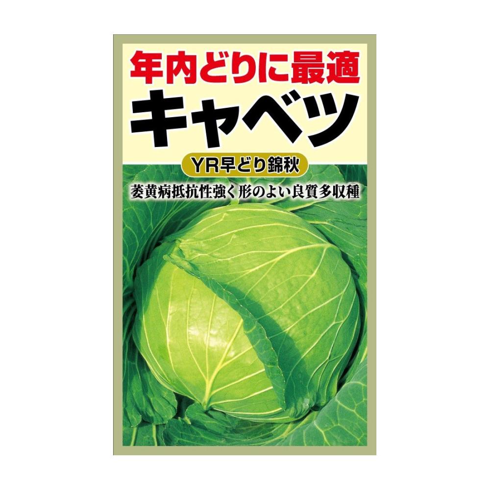 アタリヤ農園　キャベツ種子　ＹＲ早どり錦秋