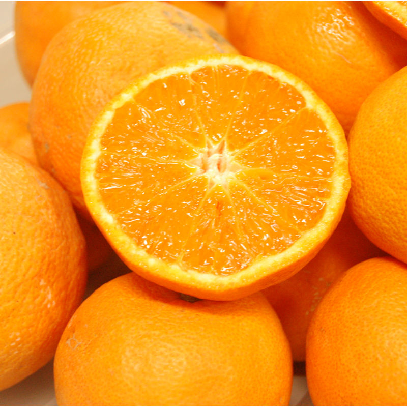 大分県産　永木農園さんのなつみ　サイズ混合M～L　約５ｋｇ【注文期限：２０２６年４月１１日】