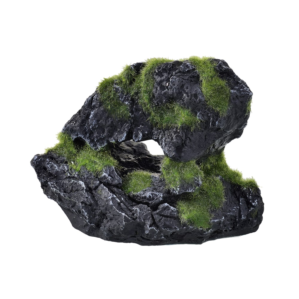 ＧＥＸ　癒し水景　モスロック　ケーブ