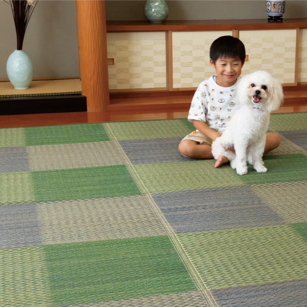 イケヒコ　い草上敷き（花ござ）　神楽　裏貼りなし　グリーン　江戸間２畳