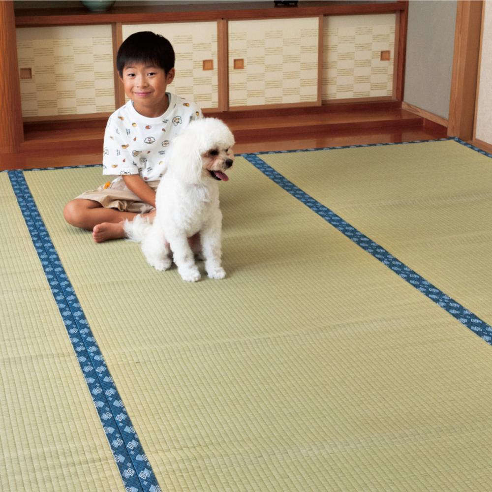 イケヒコ　い草上敷き　天草　本間６畳