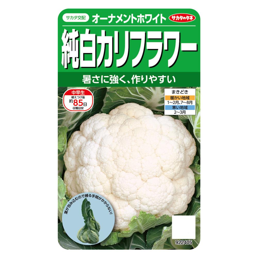 サカタのタネ　純白カリフラワー　オーナメントホワイト