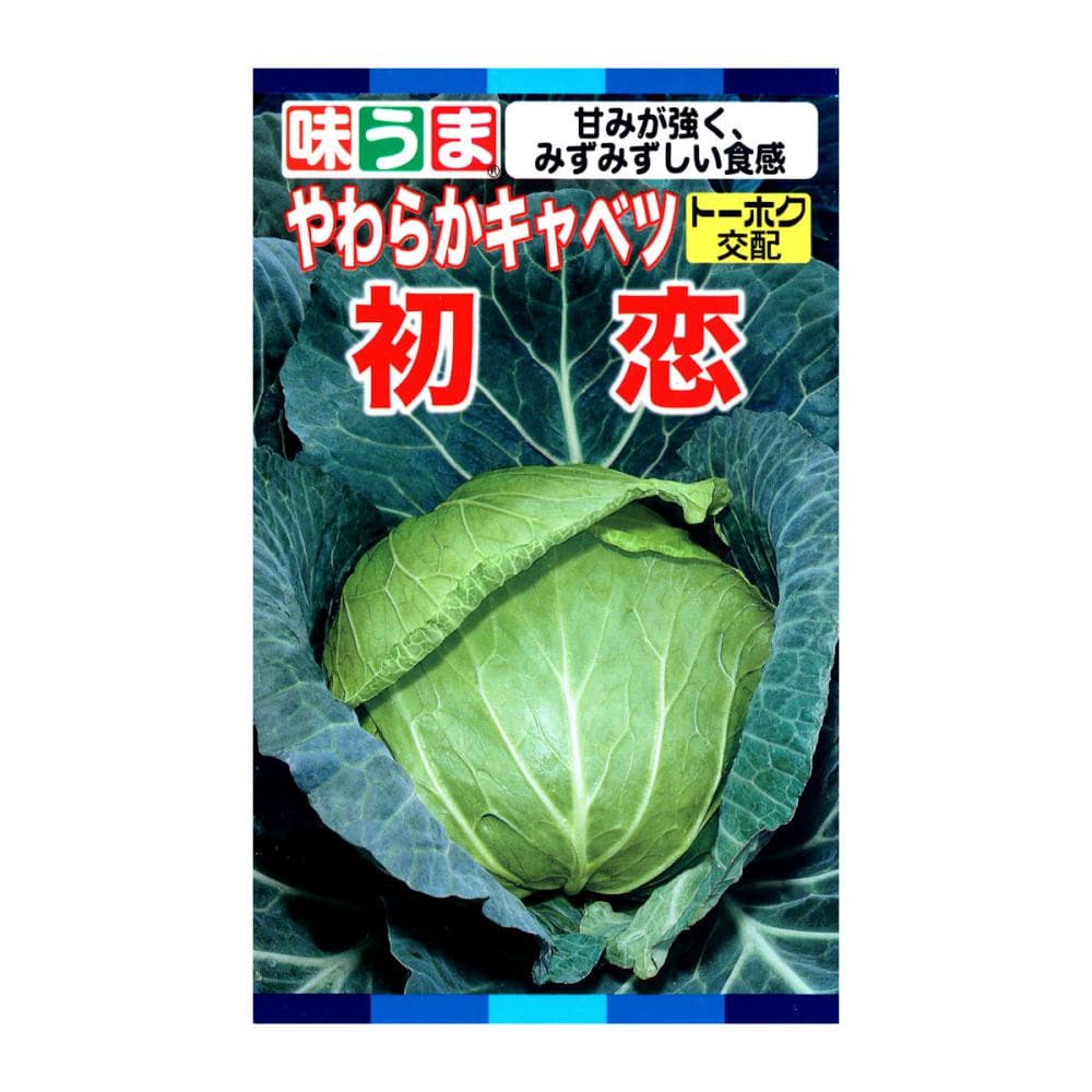 トーホク交配　キャベツ種子　Ｆ１　初恋