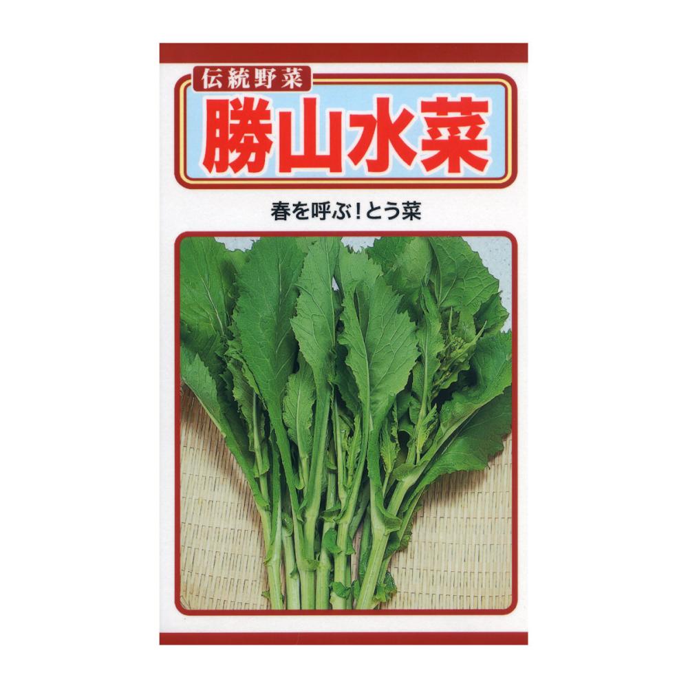 トーホクのたね　葉類種子　勝山水菜