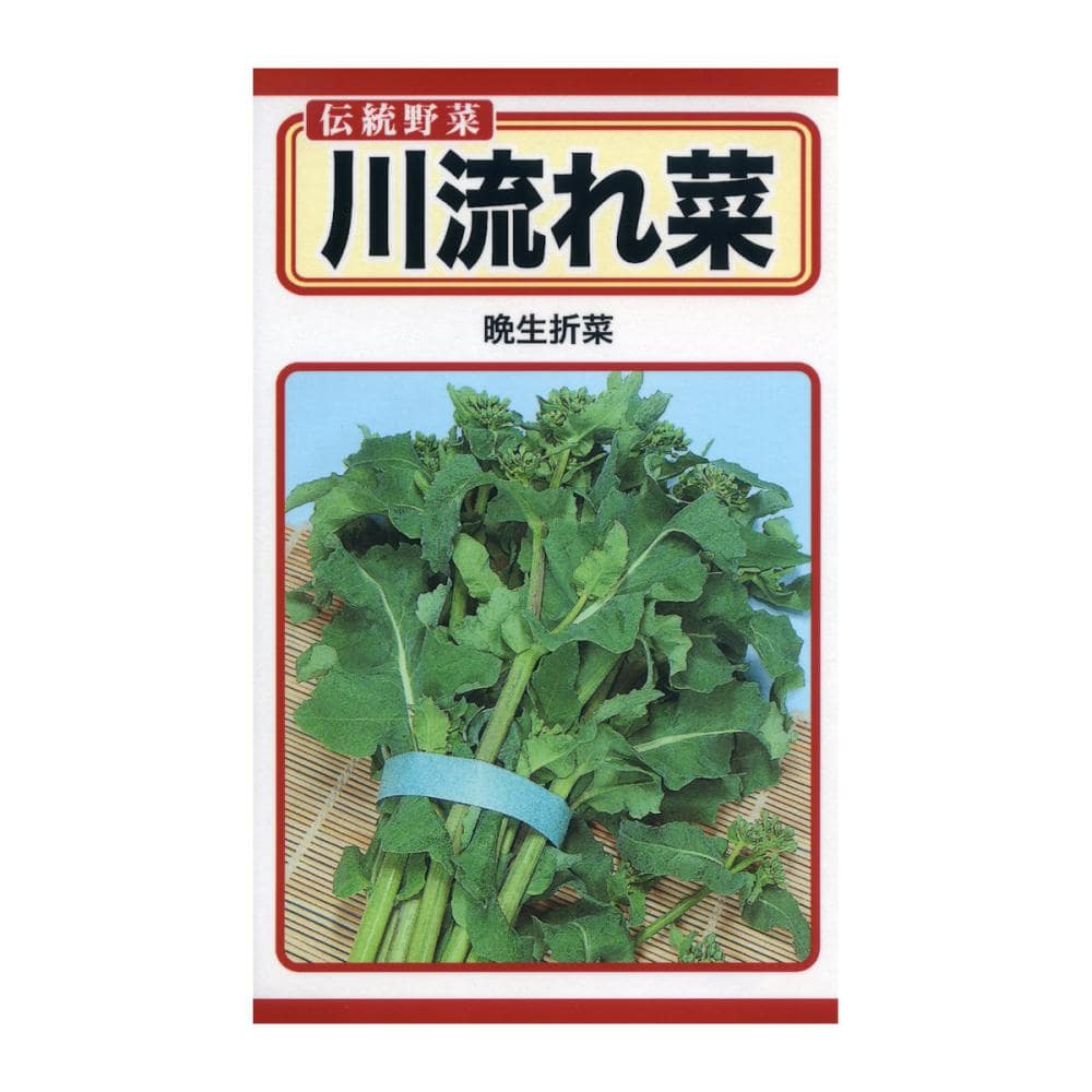 トーホクのたね　葉類種子　川流れ菜