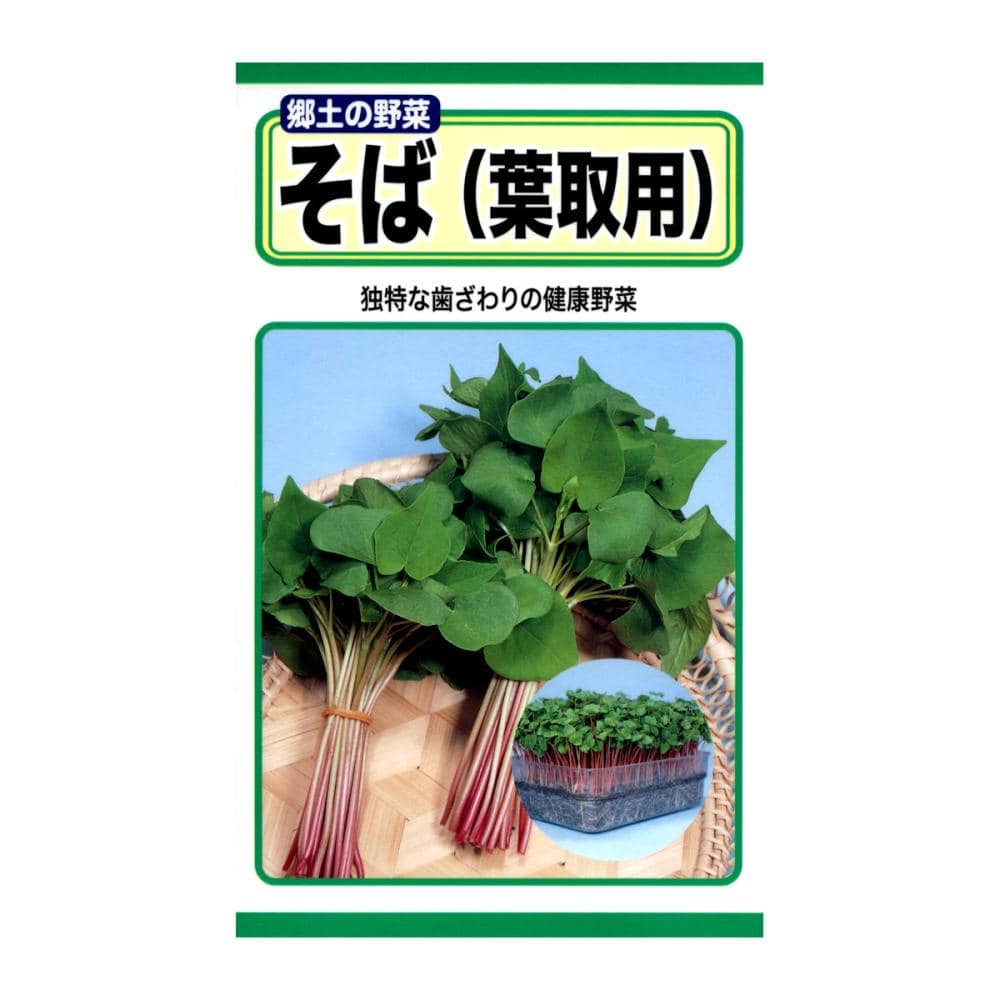 トーホクのたね　ソバ種子　そば　葉取用