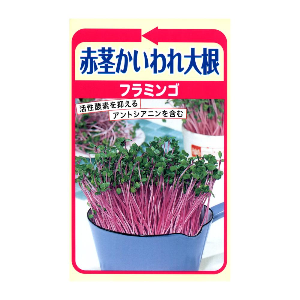 トーホクのたね　ダイコン種子　赤茎かいわれ大根　フラミンゴ
