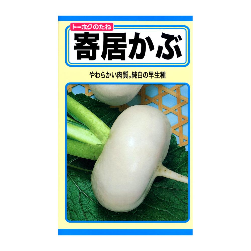 トーホクのたね　カブ種子　寄居かぶ
