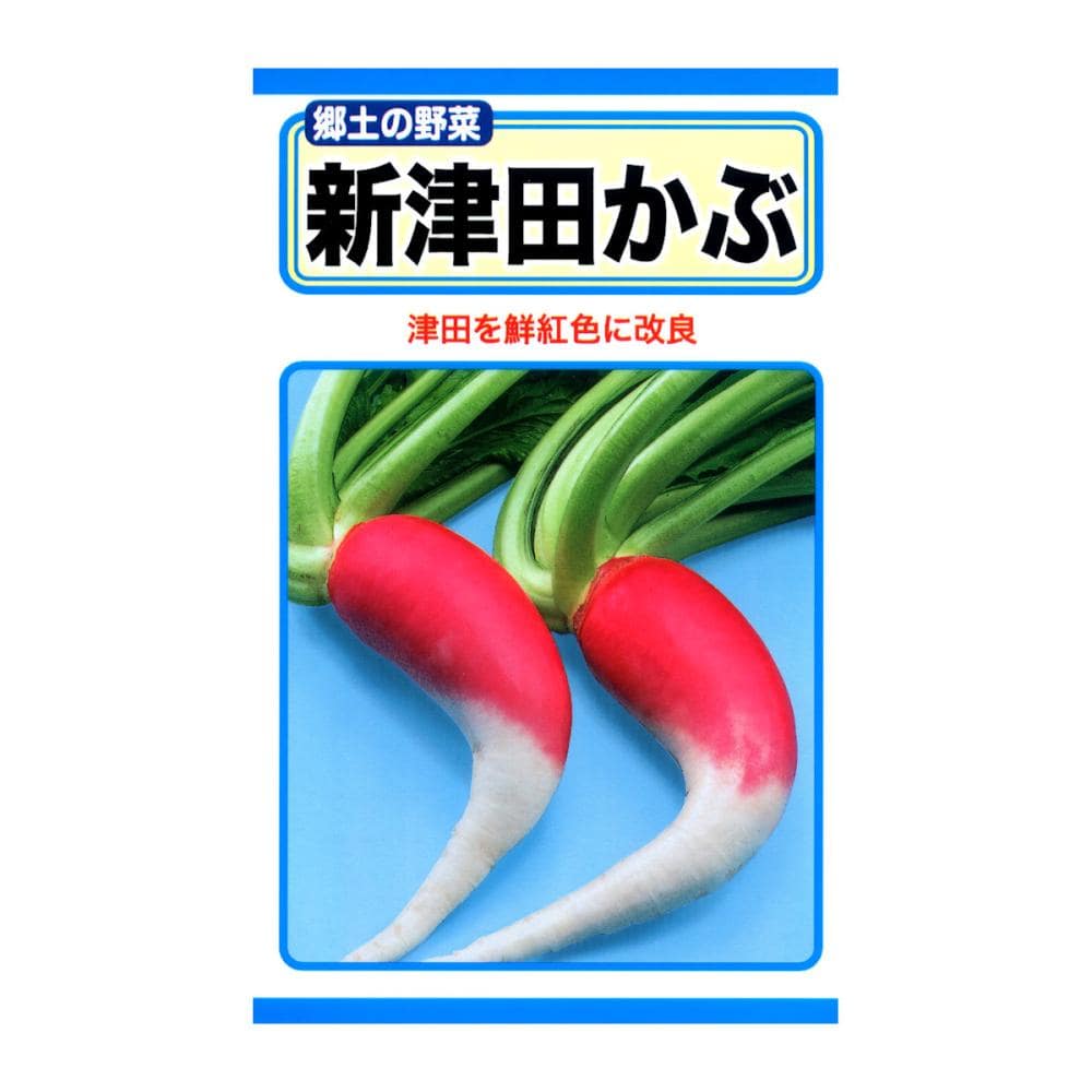 トーホクのたね　カブ種子　新津田かぶ