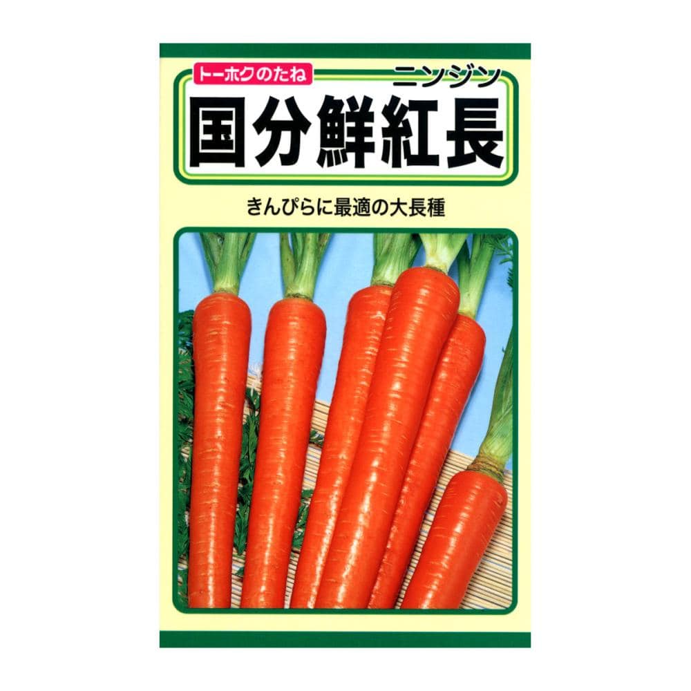 トーホクのたね　ニンジン種子　国分鮮紅長