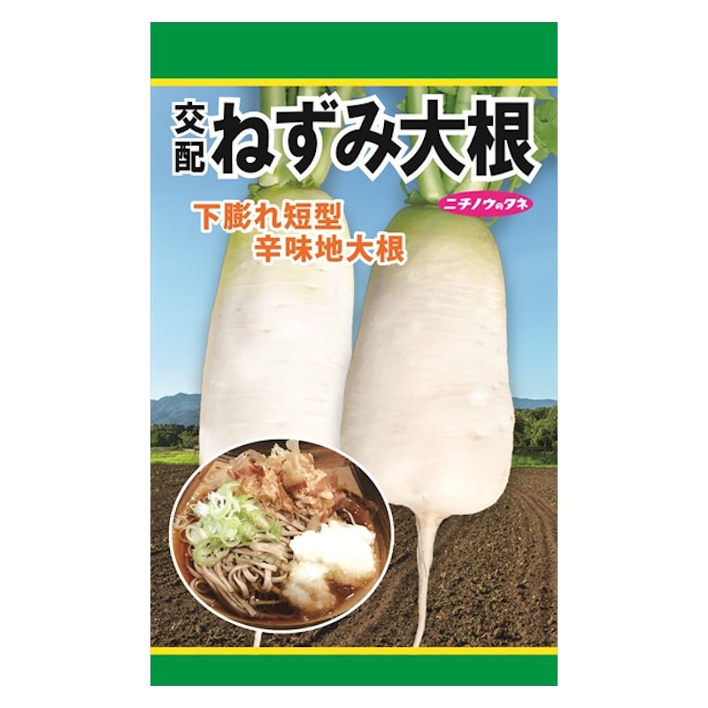 ニチノウのタネ　ダイコン種子　交配ねずみ大根