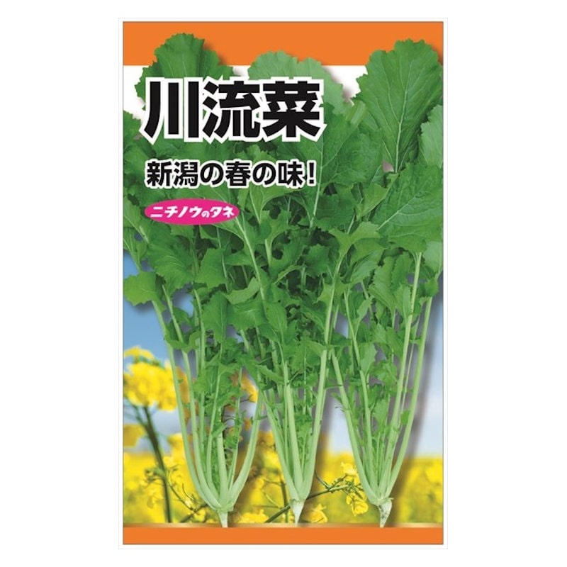 ニチノウのタネ　川流菜（五月菜・折菜）