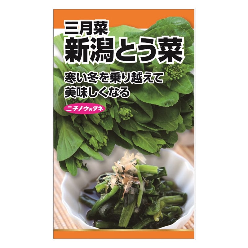 ニチノウのタネ　新潟とう菜（三月菜）