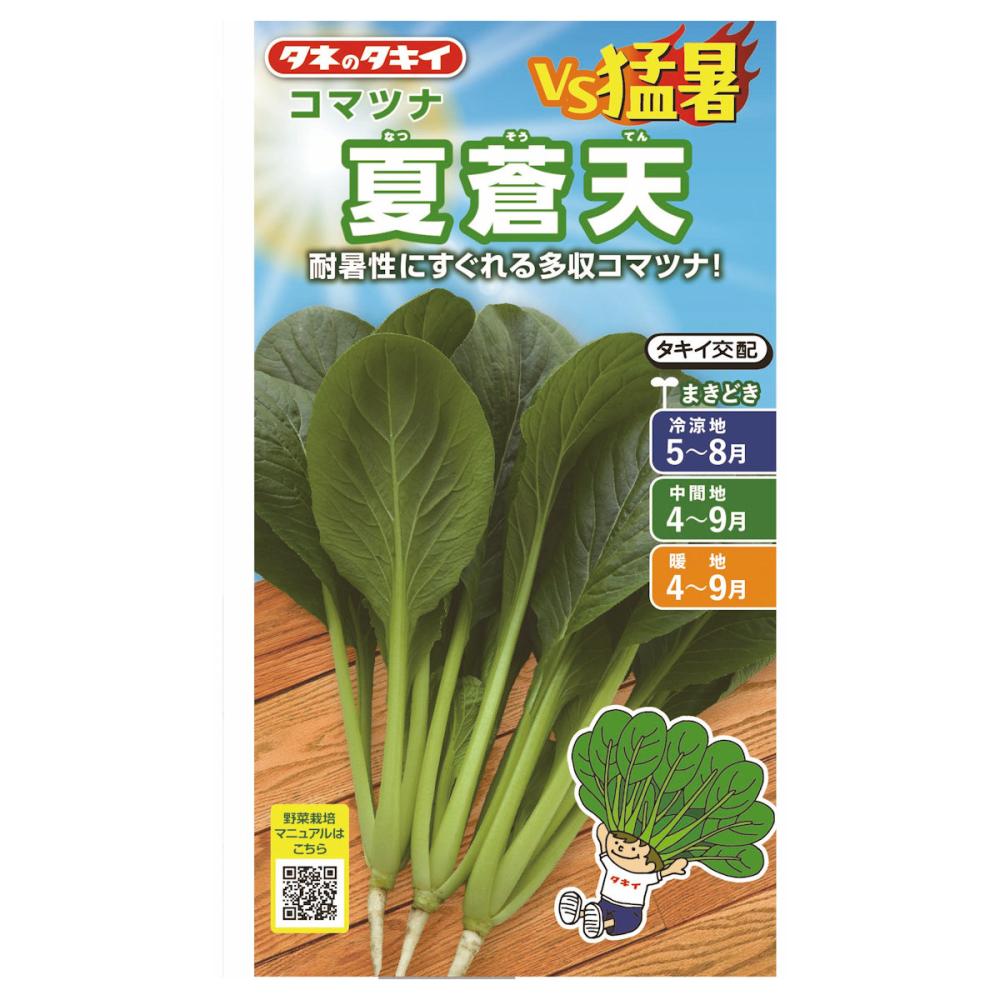 タネのタキイ　コマツナ種子　ＶＳ猛暑　夏蒼天