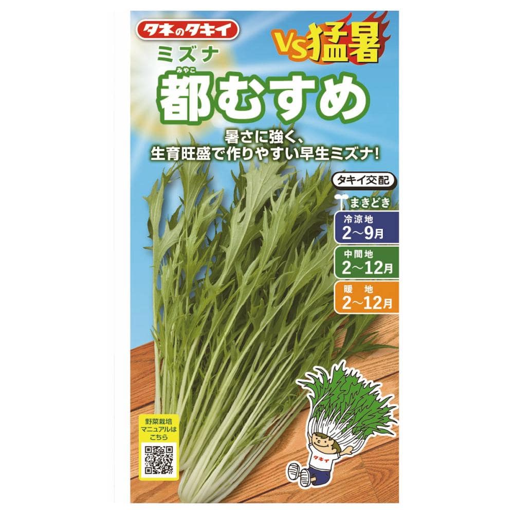 タネのタキイ　ミズナ種子　ＶＳ猛暑　都むすめ