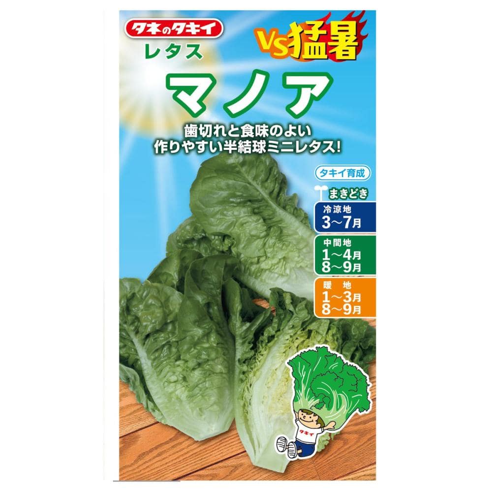 タネのタキイ　レタス種子　ＶＳ猛暑　マノア