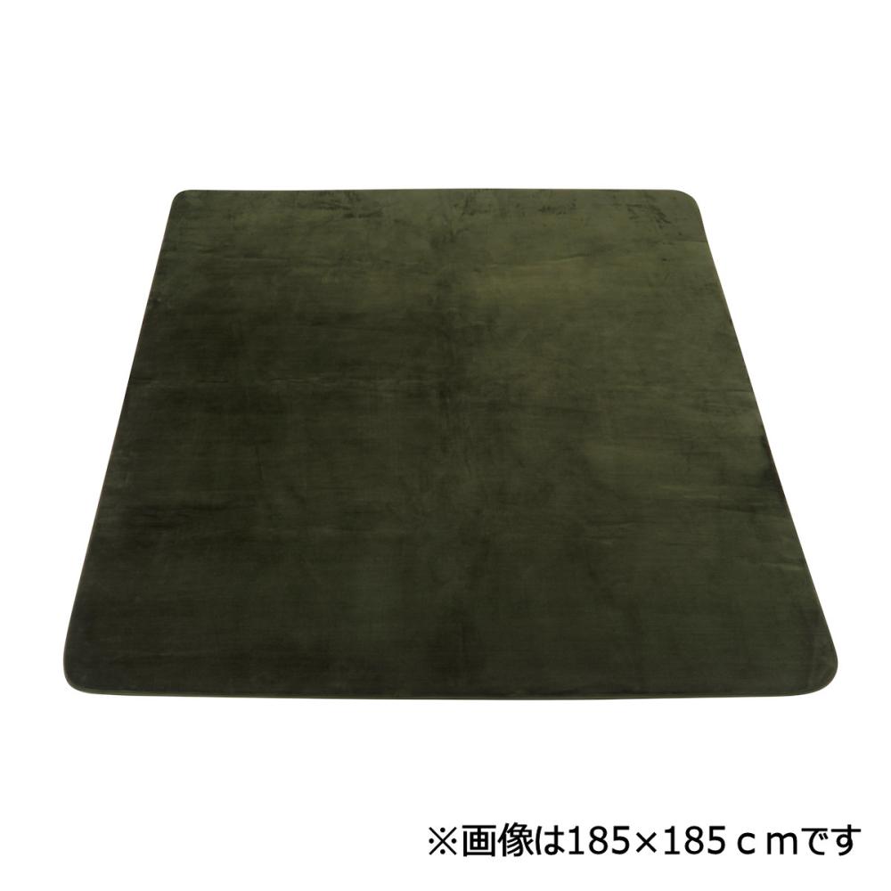 アテーナライフ　暖プラス　厚手リビングラグ　ヴァルキー　グリーン　２００×２４０ｃｍ　約３畳