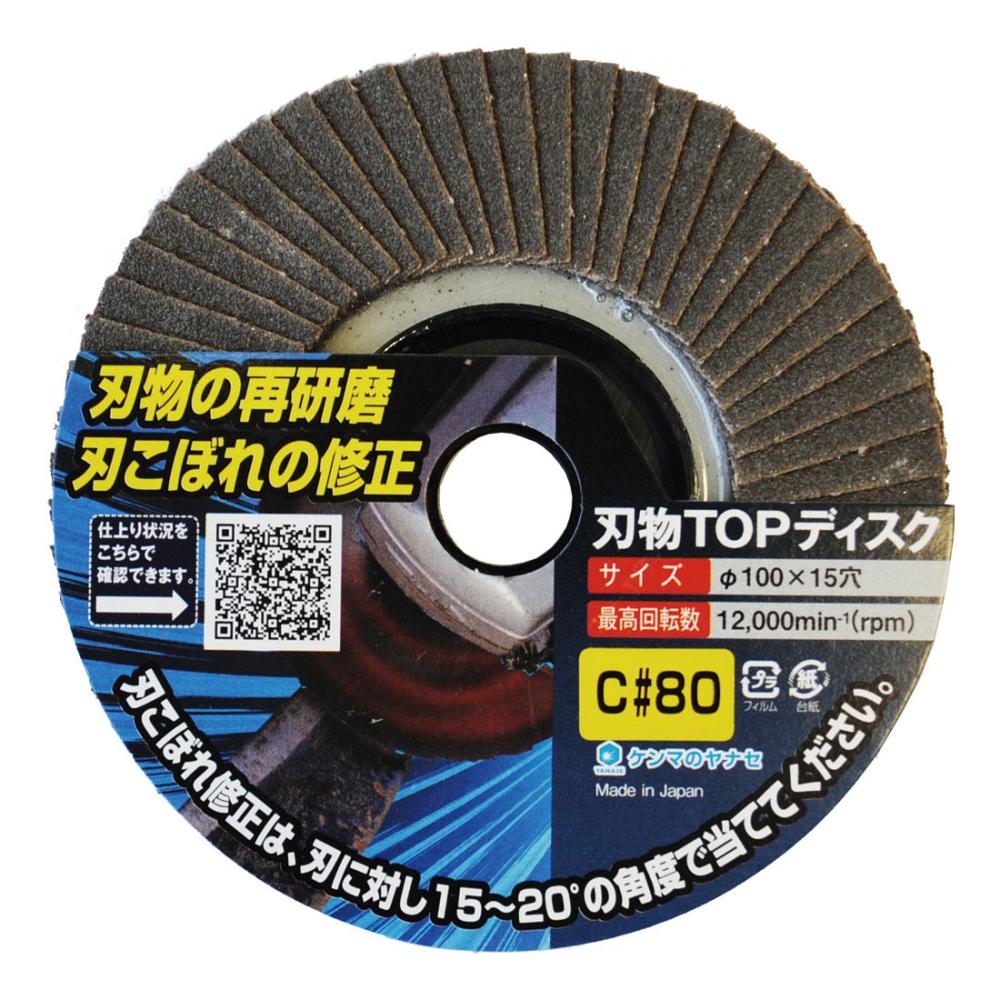 柳瀬　刃物ＴＯＰディスク　１００×１５　Ｃ＃６０