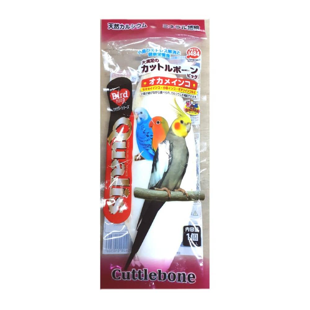 クオリス　カットルボーン　ビッグ　１個入り