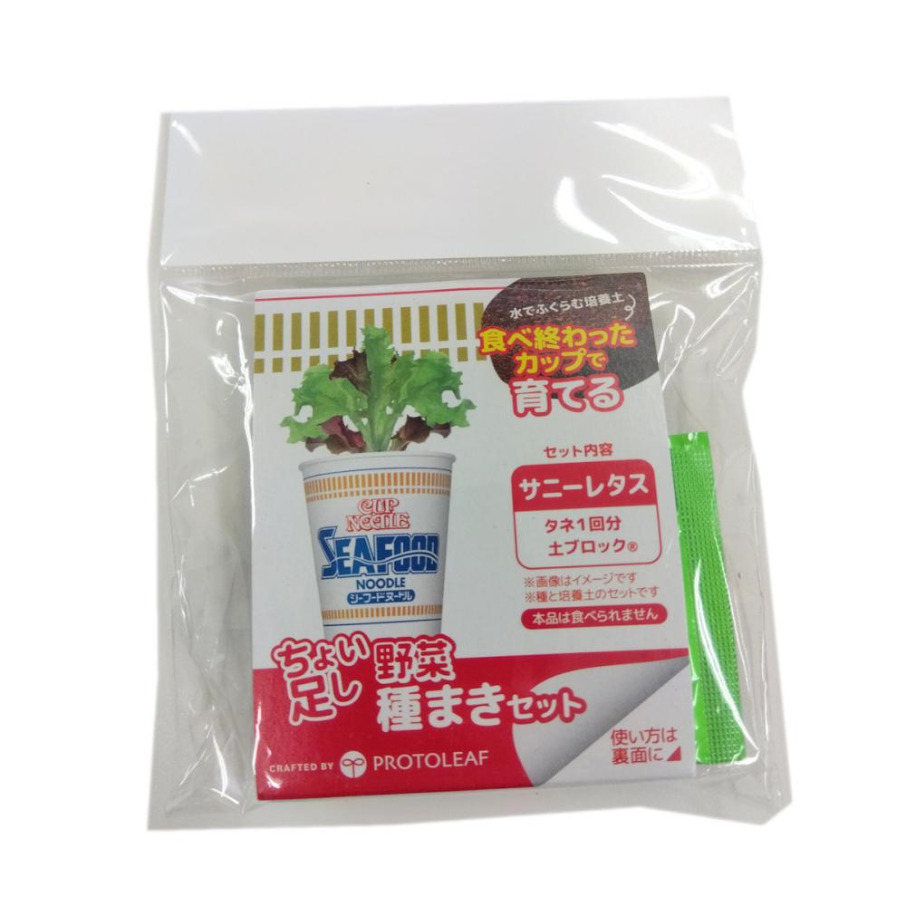 日清食品　ちょい足し野菜栽培キット　サニーレタス