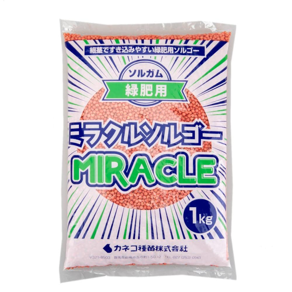 【早期予約・緑肥】　ソルガム　緑肥用ミラクルソルゴー　１ｋｇ　【申込期限：３月３１日】