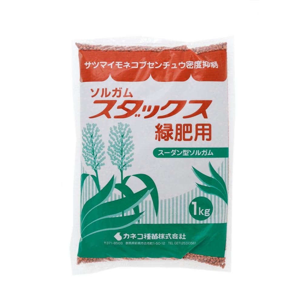 【早期予約・緑肥】　ソルガム　スダックス緑肥用　１ｋｇ　【申込期限：３月３１日】
