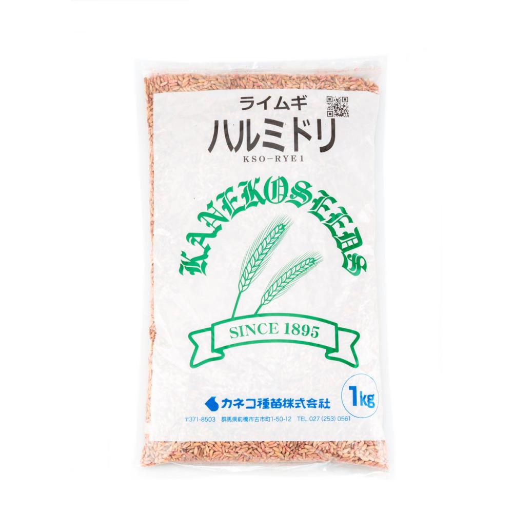 【早期予約・緑肥】　ライムギ　ハルミドリ　１ｋｇ　【申込期限：３月３１日】