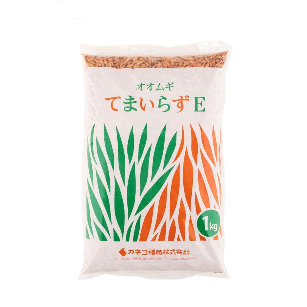 【早期予約・緑肥】　オオムギ　てまいらずE　１ｋｇ　【申込期限：３月３１日】