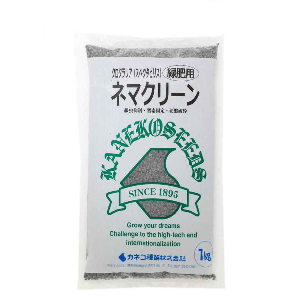 【早期予約・緑肥】　クロタラリア（スペクタビリス）　ネマクリーン　１ｋｇ　【申込期限：３月３１日】
