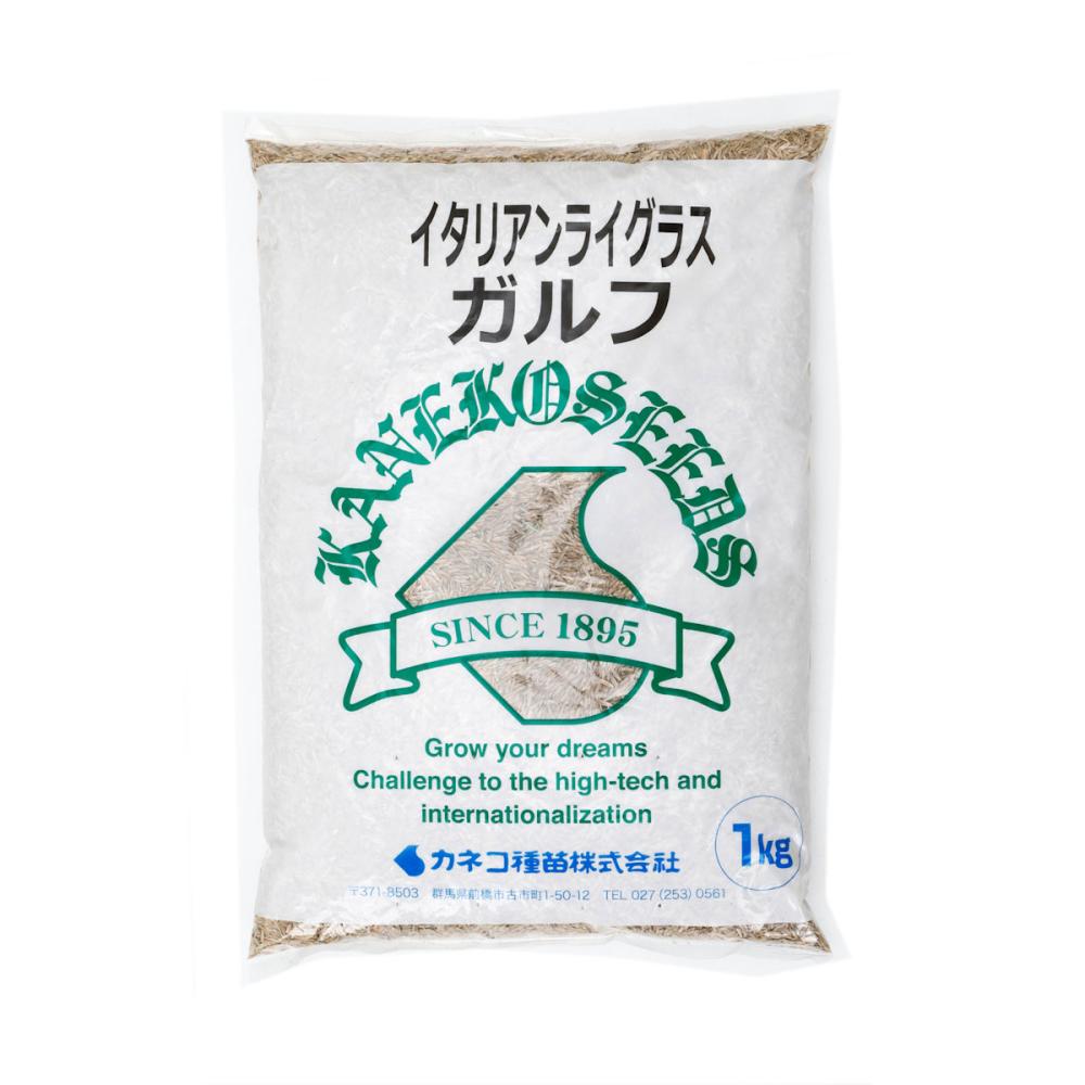 【早期予約・緑肥】　イタリアンライグラス　ガルフ　１ｋｇ　【申込期限：３月３１日】