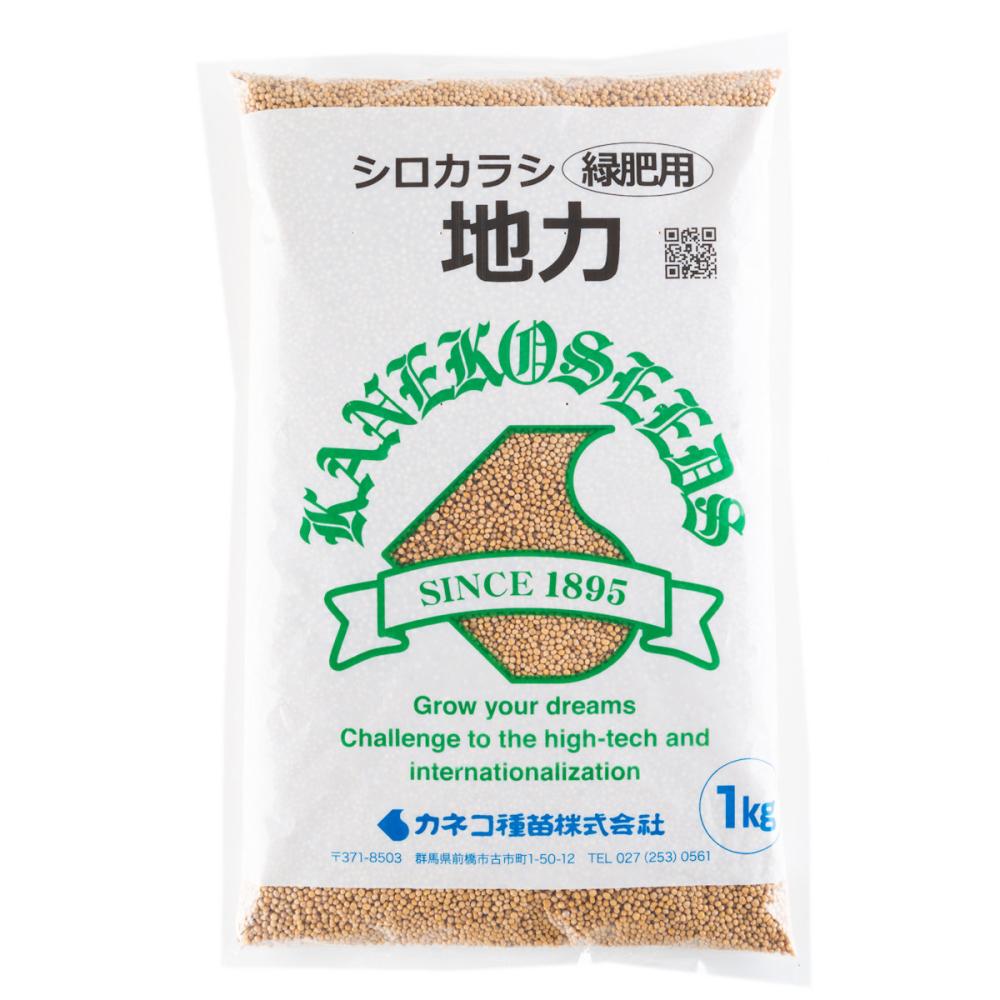 【早期予約・緑肥】　シロカラシ　地力　１ｋｇ　【申込期限：３月３１日】