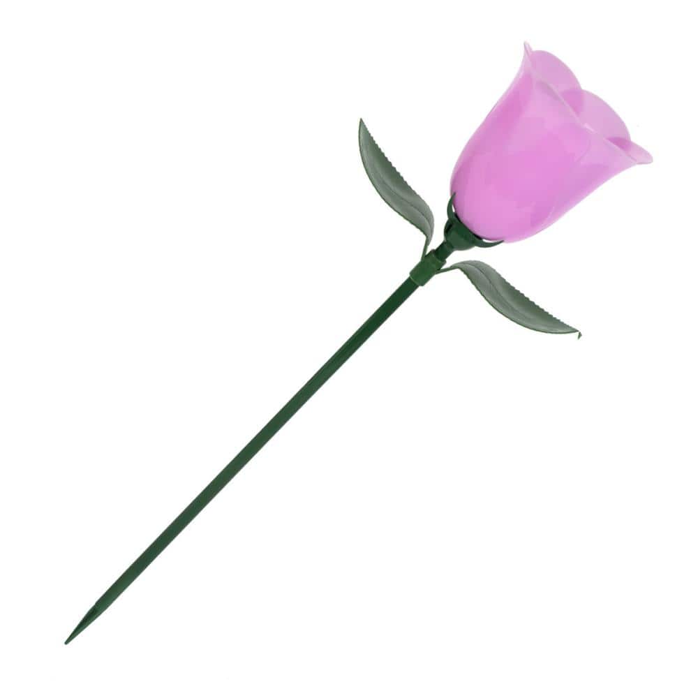 Ｂｒｅｅｚｙ　Ｇｒｅｅｎ　ソーラーローズライト　ピンク