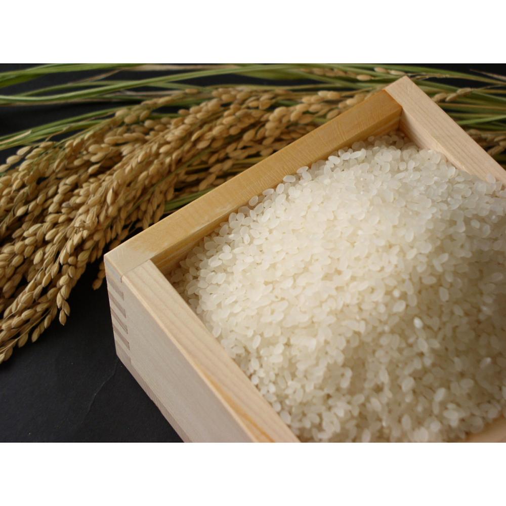 令和７年度　岡山県大佐清流米きぬむすめ　精米５ｋｇ