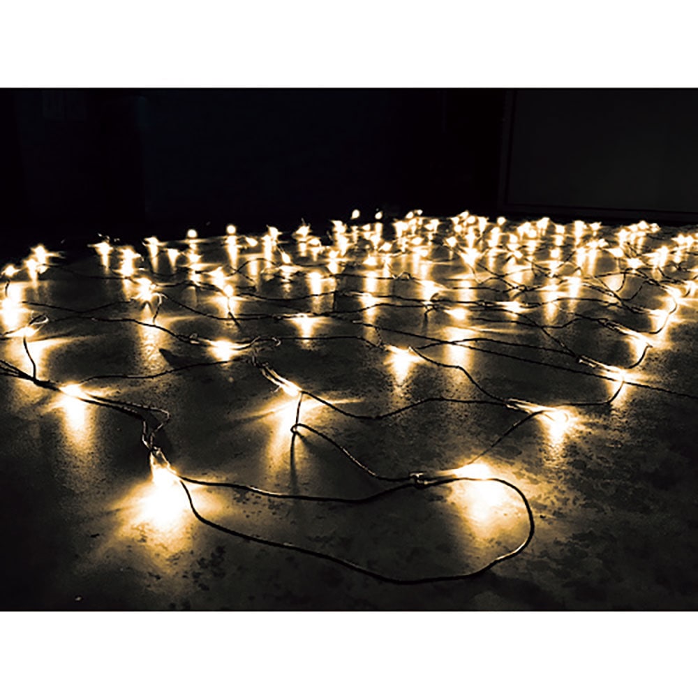 ｔｌｉｇｈｔ　ＬＥＤネットライト　シャンパンゴールド　Ｌ１２００＊Ｌ１８００　ＮＮＢＤ１－１２０／＿