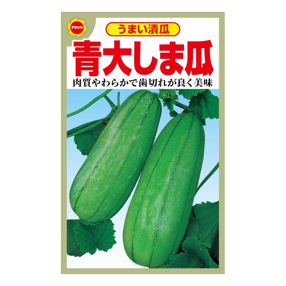 シロウリ種子　青大しま瓜