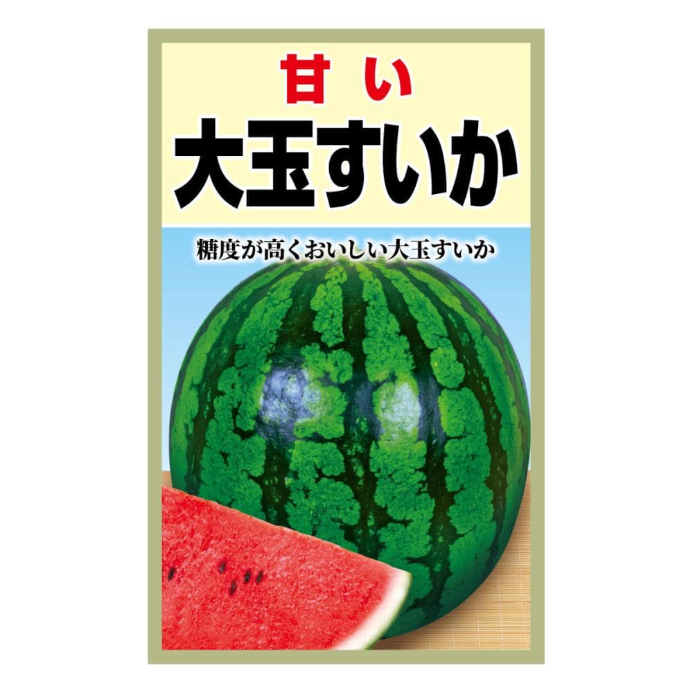 スイカ種子　甘い大玉すいか