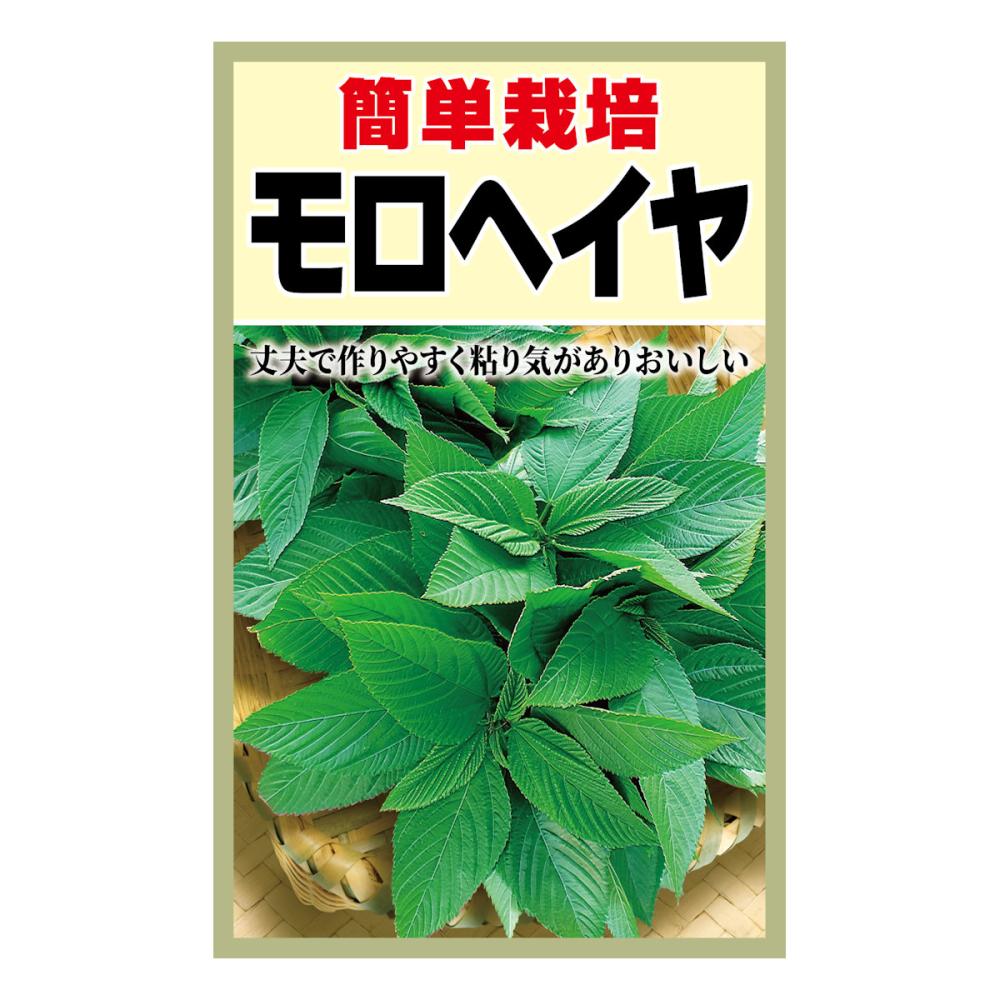 アタリヤ農園　モロヘイヤ種子　モロヘイヤ