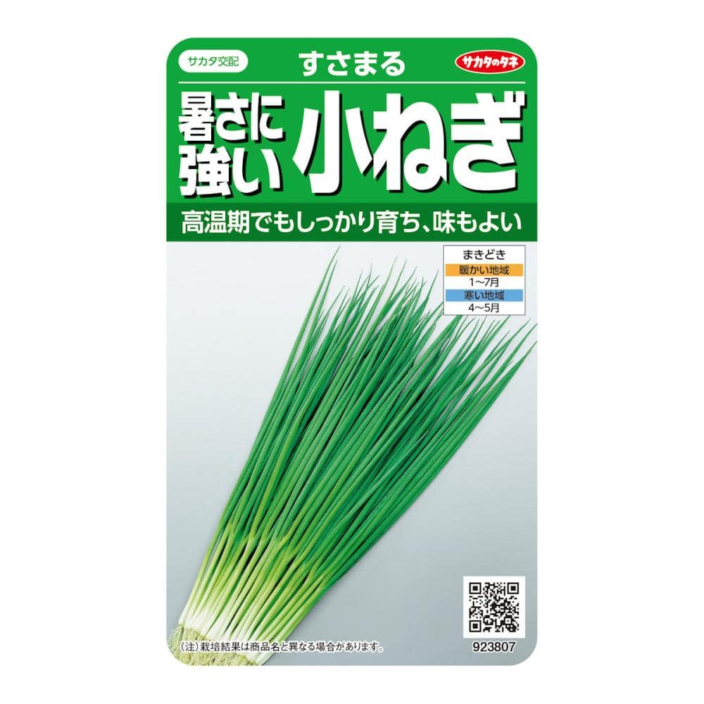 ネギ種子　小ネギ　暑さに強い小ねぎ　すさまる